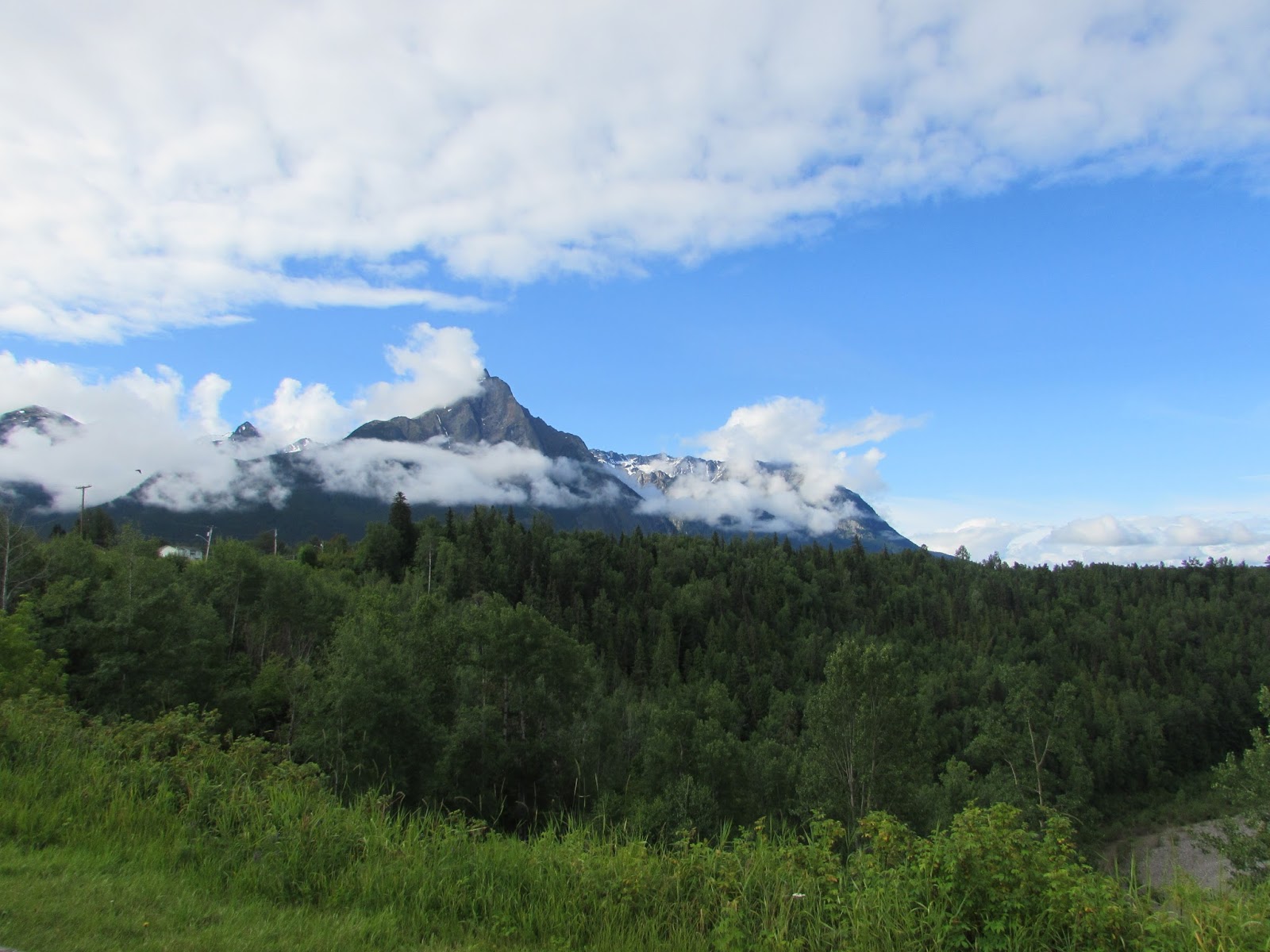 Idaho Life Day 42 Hazelton