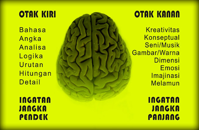 Fakta Mengerikan Parasit yang Mudah Hidup dan Menjangkit Otak Manusia Sangat Merugikan
