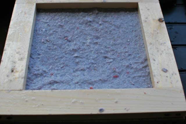 pulp in frame with deckle in place