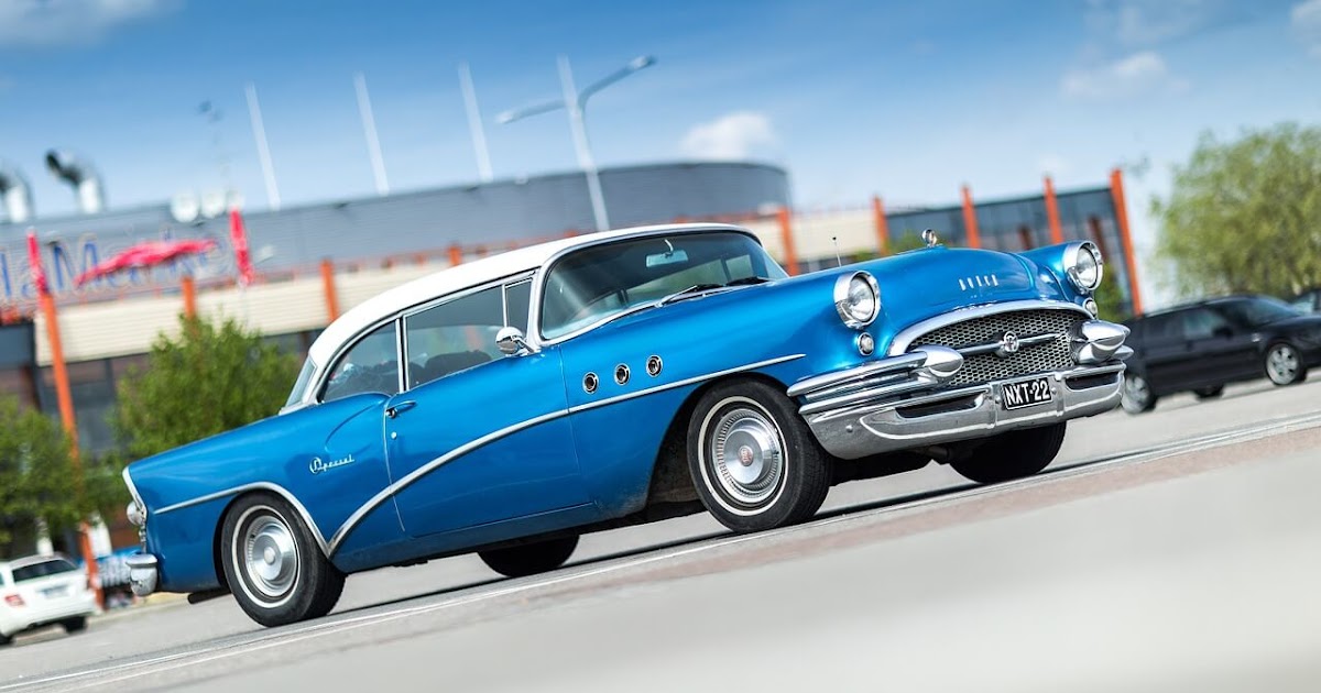 10-steps-to-prepare-your-home-for-a-kitten-about-kitten-care-pixelz