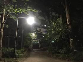 公園から