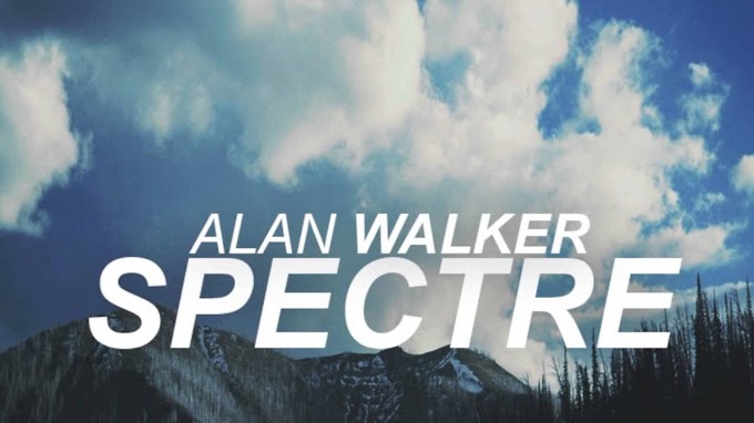 Alan Walker - Spectre (Beat)