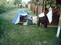 Camping Delta Dunarii