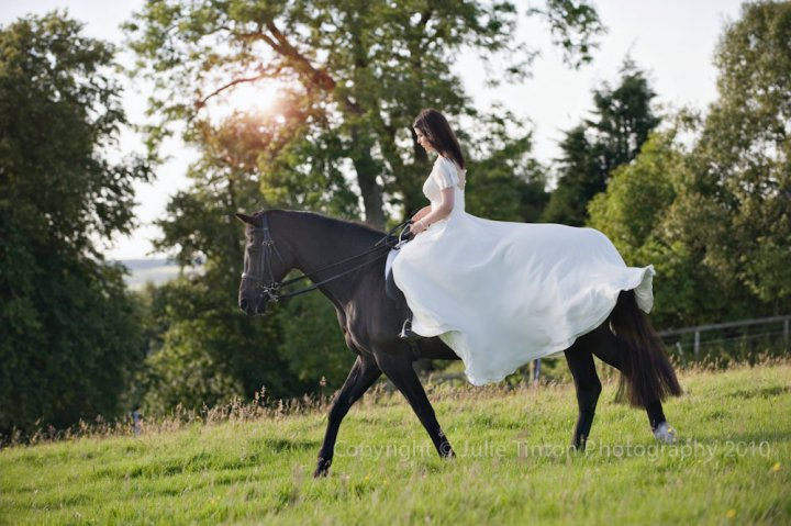 This Wedding Is Horse Colorado S Locations Step Brothers Quotes This Wedding Is Horse I M Going To Take A Pillowcase And Fill It Full Of Bars Soap Beat The Out You