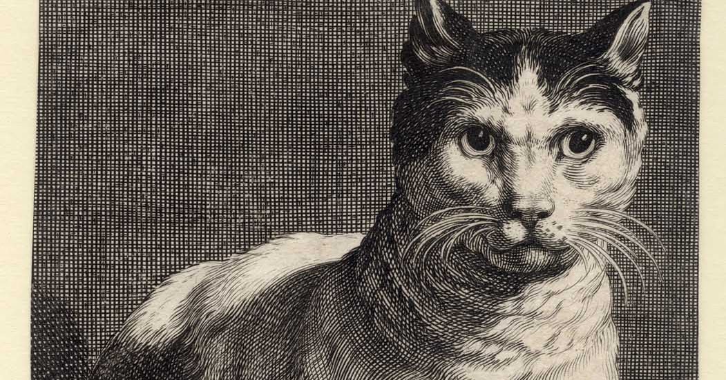 Bild Einer Katze: Unveiling the Feline Masterpiece