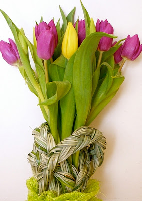 alergia primaveral como combatirla