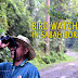 How Bird Watching in Sabah Became The Top Destination In Malaysia