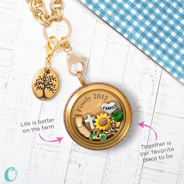Family Life Origami Owl Living Locket available at StoriedCharms.com