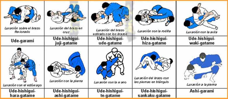 EL ARTE MARCIAL TE DA LA VIDA: Kansetsu waza