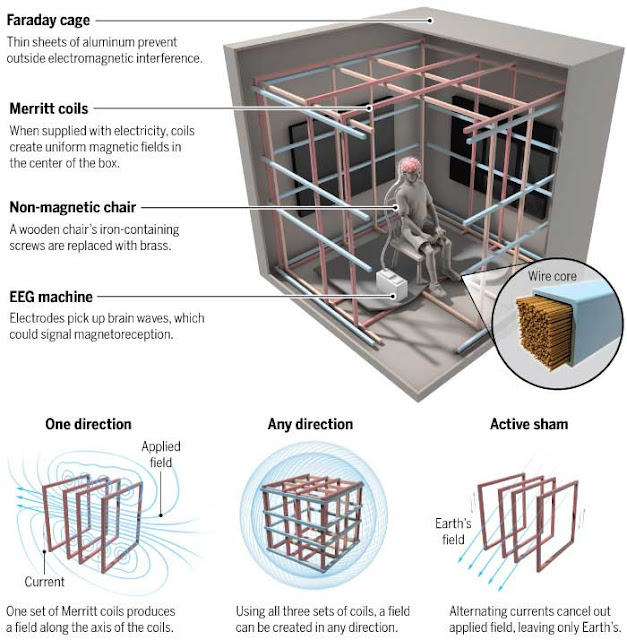 Jaula de Faraday, utilizada en los experimentos para impedir que el campo magnético de la Tierra interfiera.