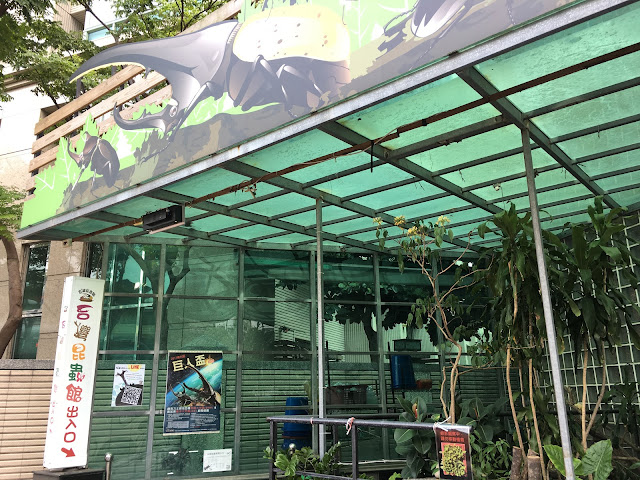 台灣昆蟲館．青蛙體驗式導覽