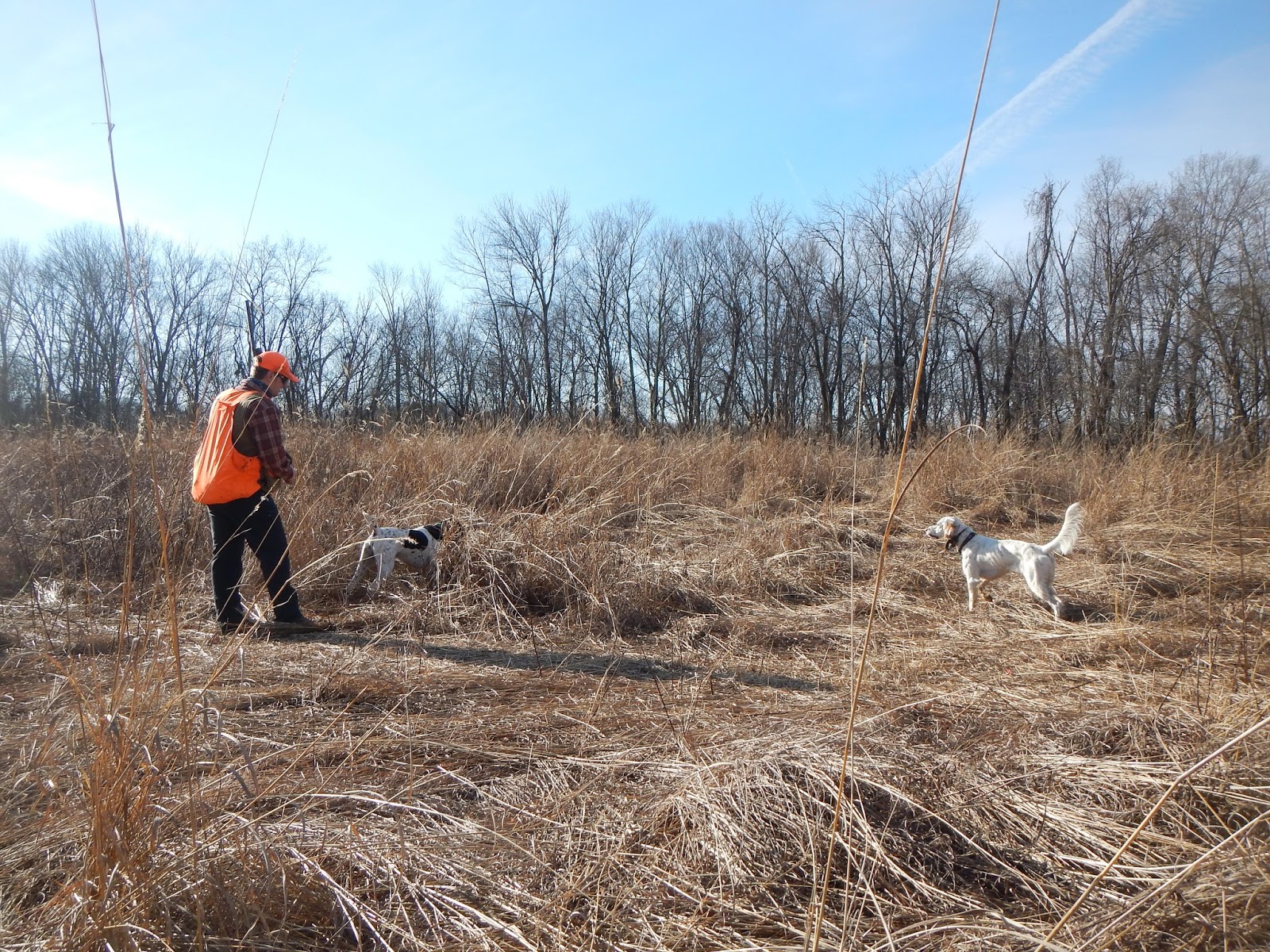 Hunting at Arrowhead Pheasants Delamere & Hopkins