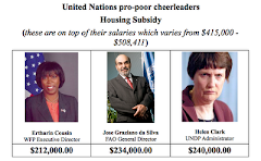 This is what pro-poor means at United Nations