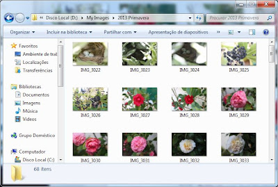 Pasta correctamente criada