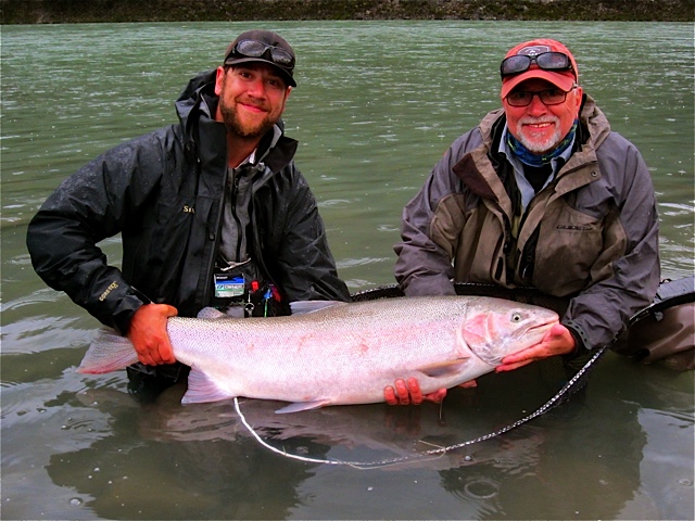 Fall Skeena Steelhead