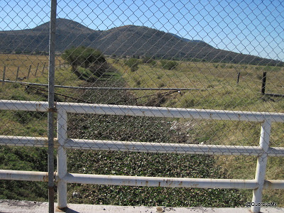 Canal de riego con lirio cerca de Cofradía