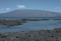 Darwin Volcano, Isabela Island, Galapagos