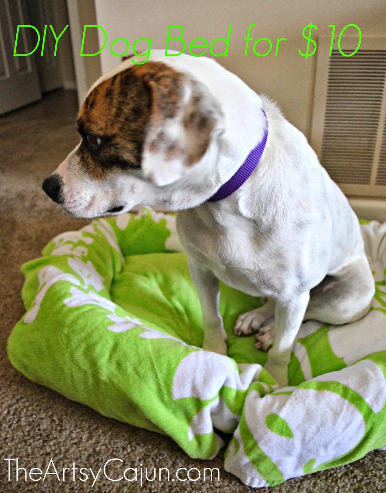 DIY dog bed for $10 | The Artsy Cajun