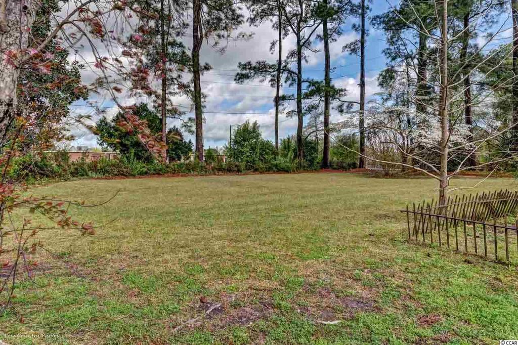 Sweet House Dreams The Manor, 1918 Neoclassical in South Carolina