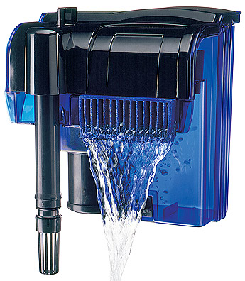 Jangan Ikannya Saja yang Dirawat, Tapi Aquariumnya Juga! Tips Ini akan Menjaga Aquarium Tetap Bersih Jangan Ikannya Saja yang Dirawat, Tapi Aquariumnya Juga! Tips Ini akan Menjaga Aquarium Tetap Bersih