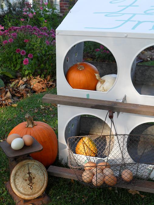 town and prairie Chicken Coop Catch All