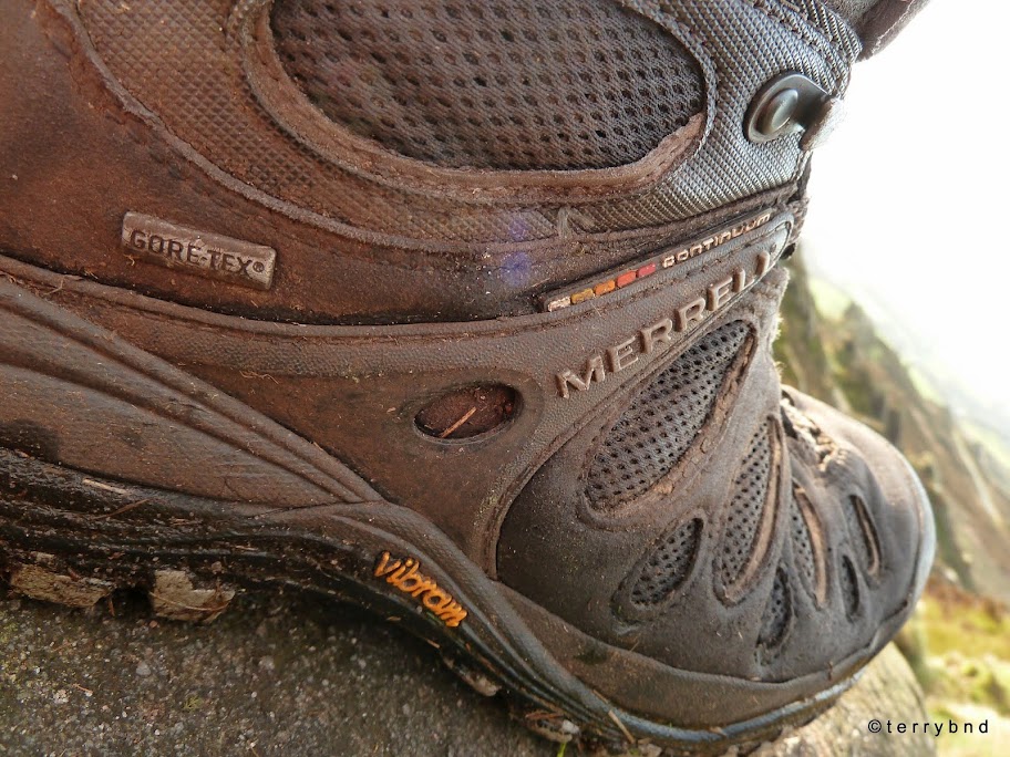 merrell chameleon evo mid