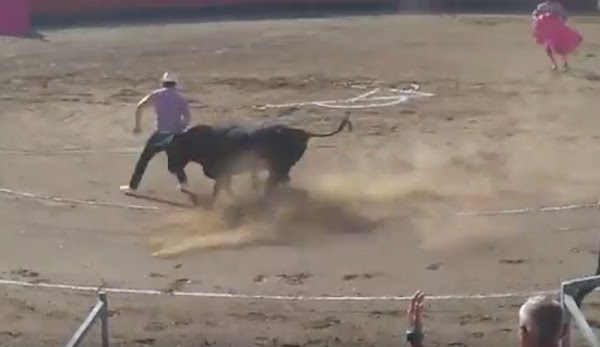 Toro ataca a activistas que habían entrado al ruedo para defenderlo (VIDEO) Toro ataca a activistas que habían entrado al ruedo para defenderlo (VIDEO)