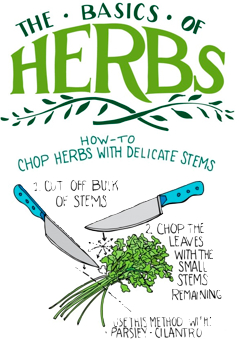 how to chop fresh herbs