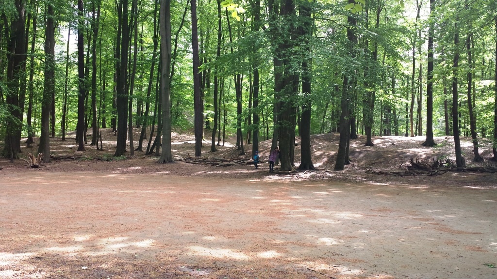 Folge 35 Vom 30 08 2008 Archiv Preussische Allgemeine Zeitung