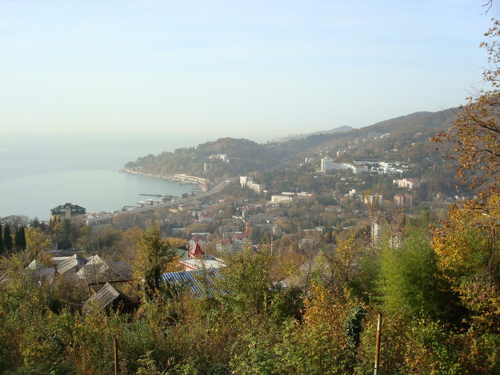 хоста район сочи фото