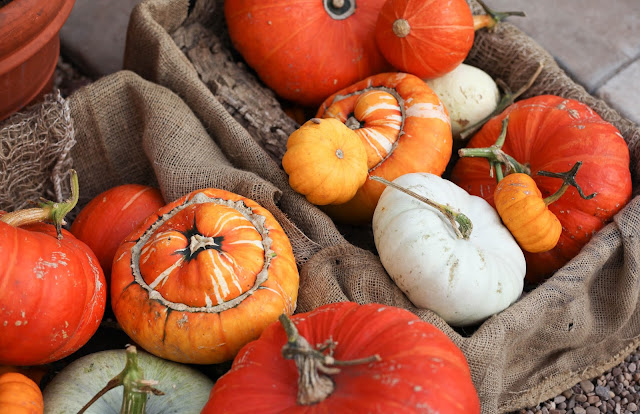 Pumpkins 