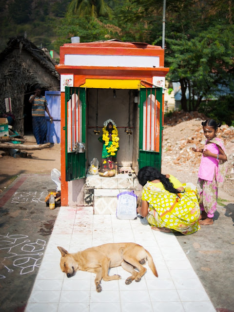 собака спит рядом с индийским божеством