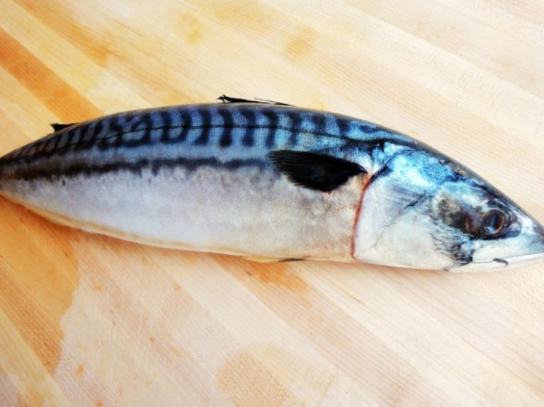 Grilled Mackerel Korea Tasty Recipe Horse Mackerel Fish, Horse