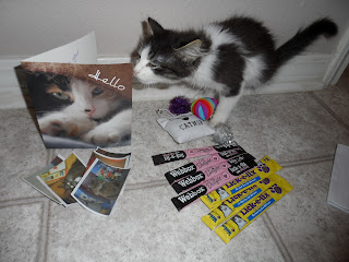 Love for Anakin the two legged cat presents from the UK