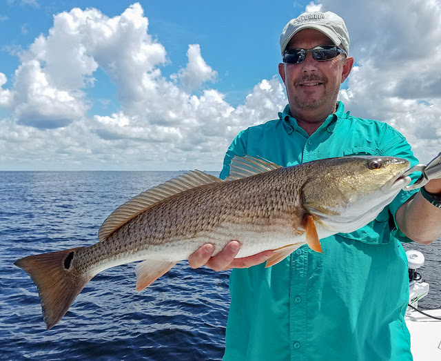 SUNNY FLORIDA FISHING Pine Island Fishing with Captain Bill Russell