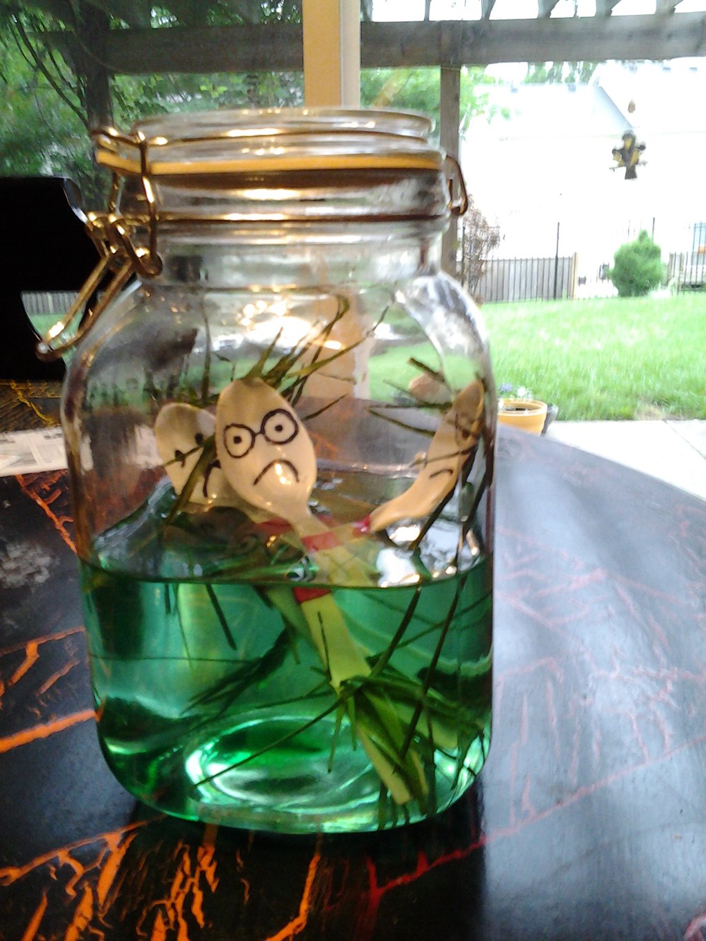 SATURDAY WITH PENELOPE Starlight... Star bright...