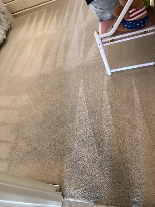 Pristine Steam Services