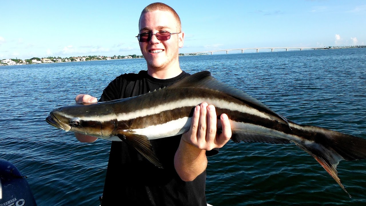 Longboat Key Fishing Charters Fish Choices