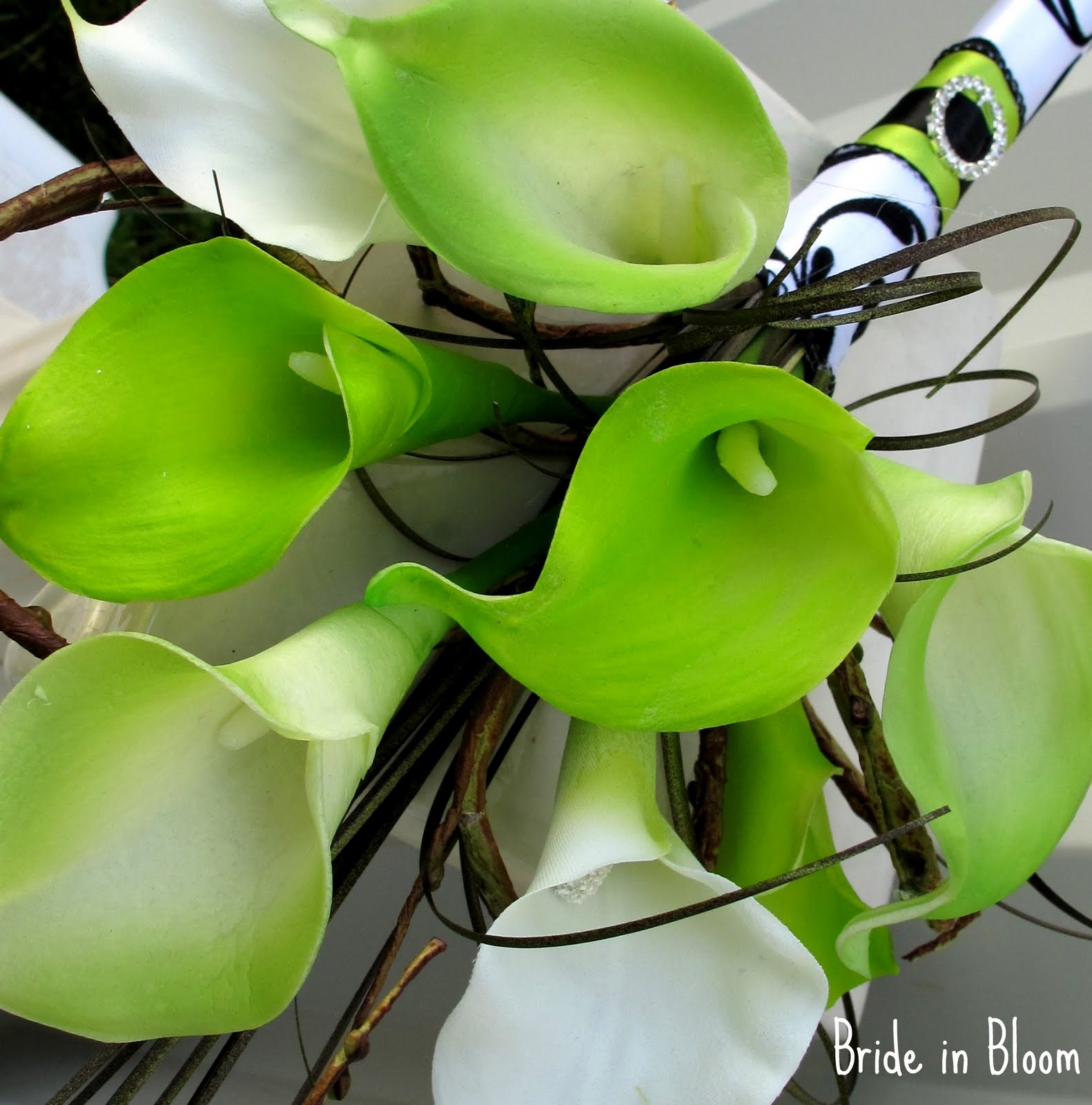 Bride in Bloom Lime green & damask wedding ideas