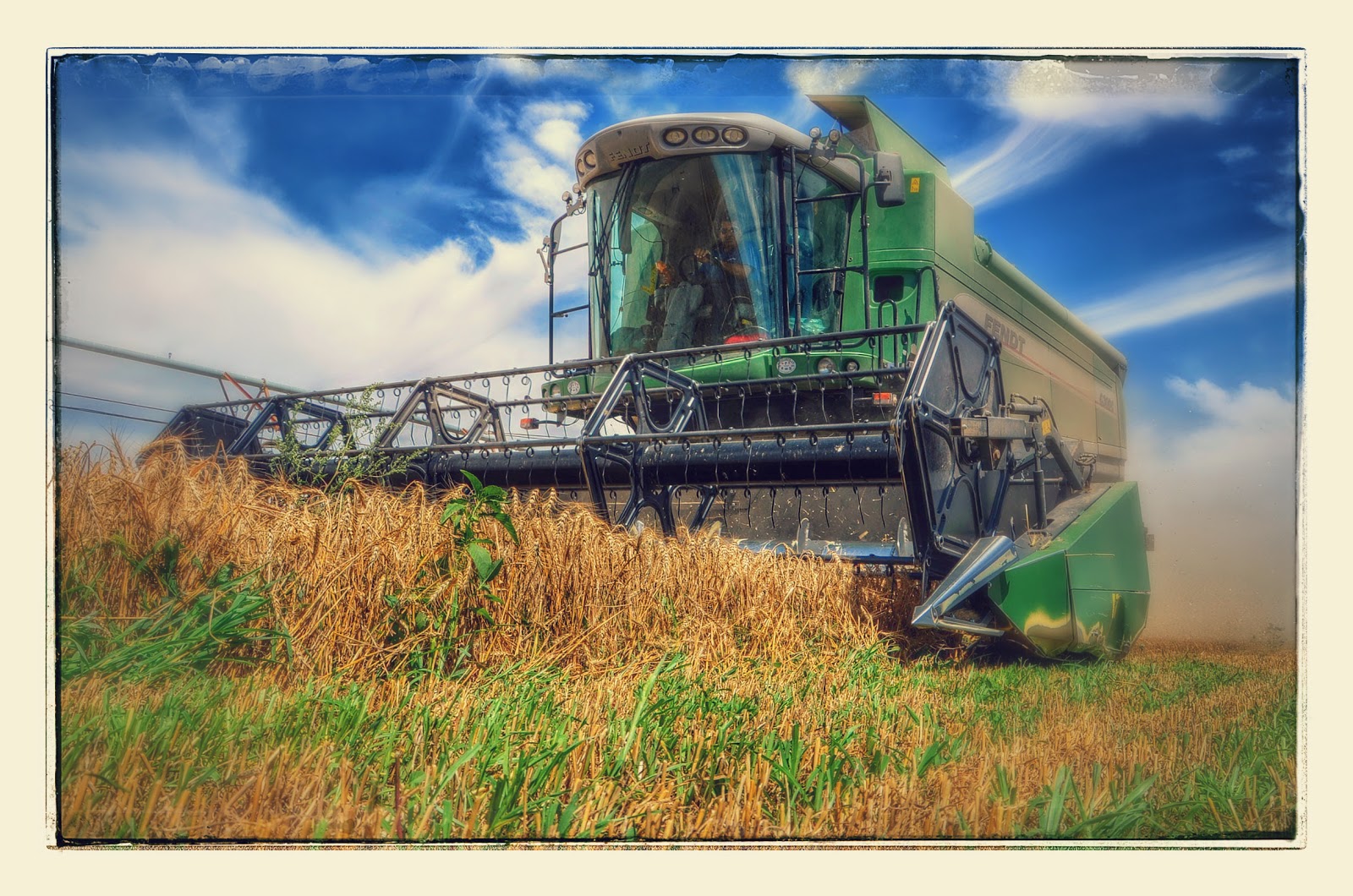 Since Teaching nautical mile Harvesting estero wheat with the Fendt 6300C Combine