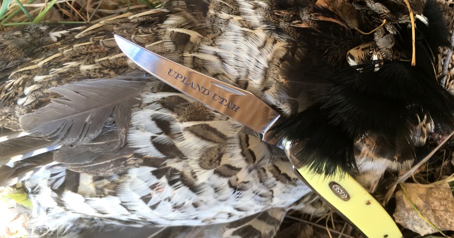 BIRD HUNTING KNIVES REVISITED