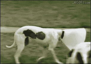12%2B%25EC%2595%2584%25EC%259D%25B4%25ED%2585%259C.gif