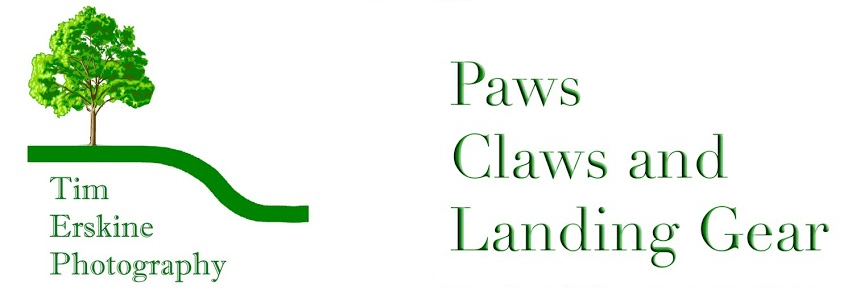 Paws, Claws and Landing Gear