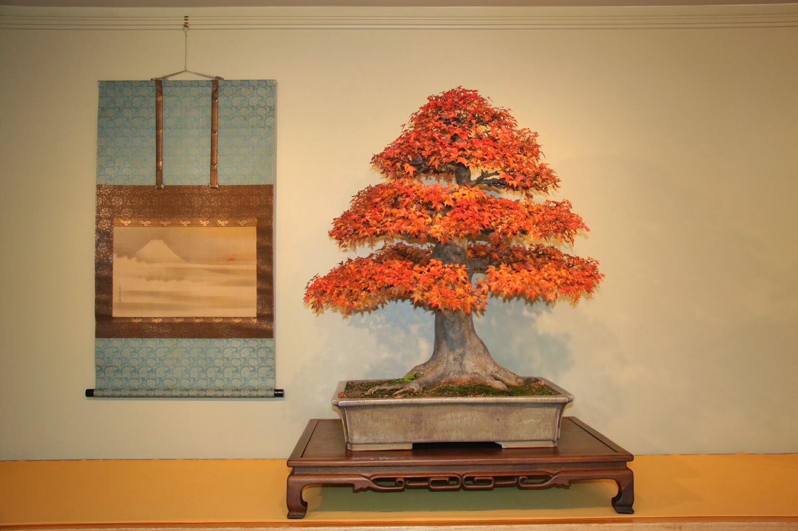 Love, Joy and Peas Autumn Bonsai Exhibit At U.S. National Arboretum