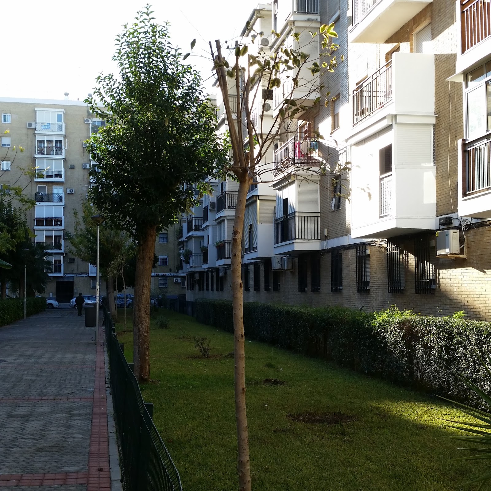 COMUNIDAD DE PROPIETARIOS - NÚCLEO RESIDENCIAL TARTESSOS: MEJORAS