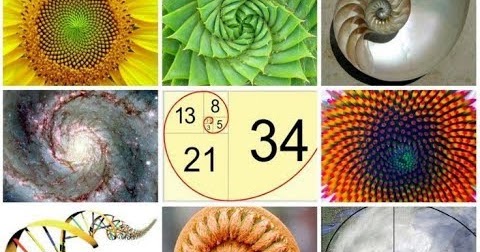Fibonacci Sequence using C
