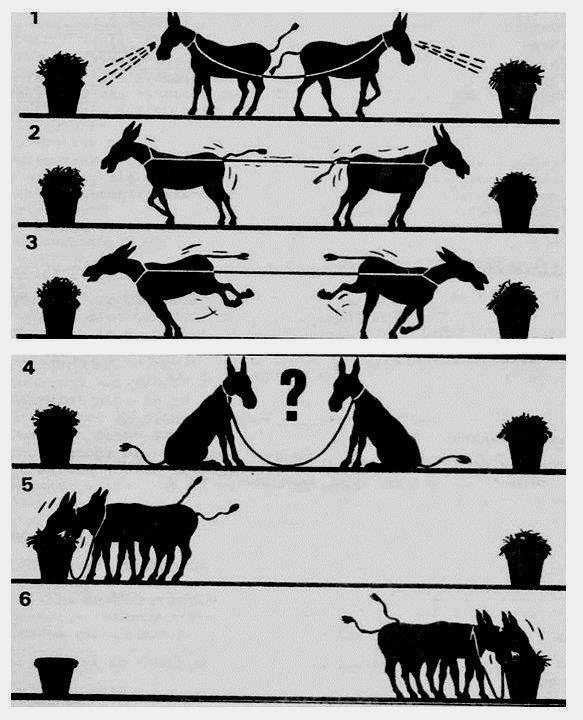 The story of two Donkeys who want to enjoy the fresh grass