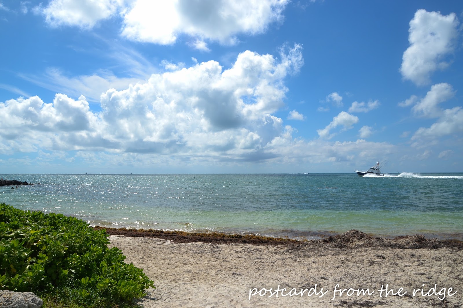 Highlights from the Florida Keys Postcards from the Ridge