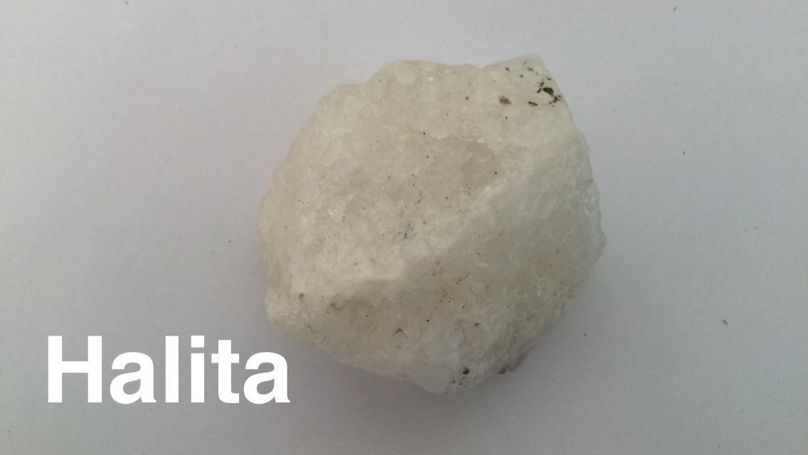 Blog de la clase de Biología y Geología de 1º de Bachillerato del IES ...