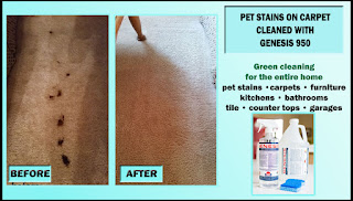 best carpet cleaner pet stains